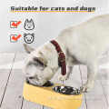 2 in 1 PET Cho ăn chậm Slowing Thép đôi Bowls PET COMPLE Food Water